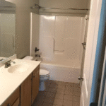 1872 Quarry Oaks Master bath